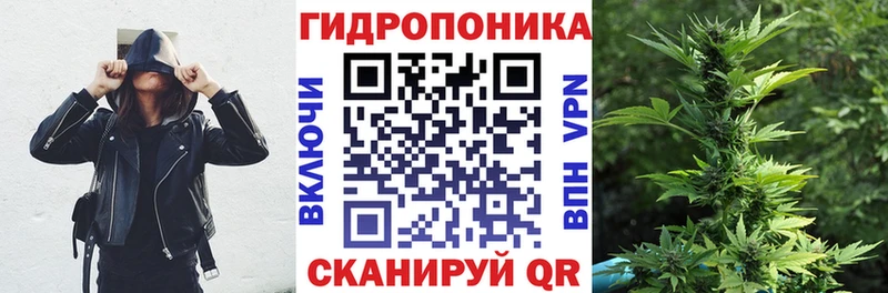 blacksprut маркетплейс  Покров  Марихуана гибрид  как найти закладки 